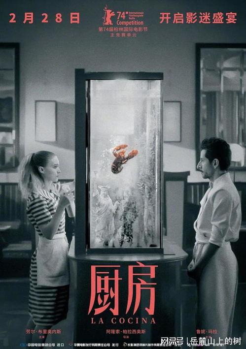 厨房电影,一部关于美食与情感的银幕盛宴
