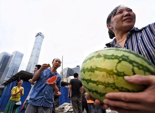 北京朝阳群众吃瓜爆料,揭秘京城群众吃瓜爆料背后的故事