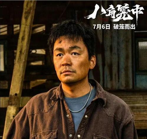 王宝强电影,从农村娃到影坛巨星的电影传奇