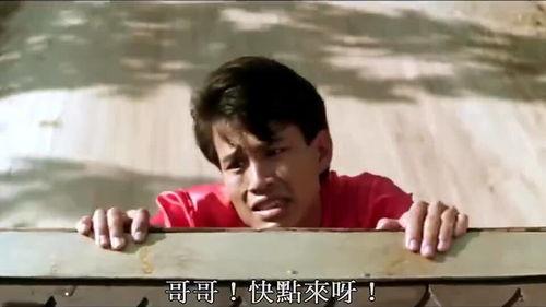 许冠杰电影,传奇歌影双栖的璀璨人生