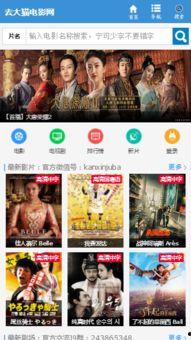 大猫电影网,盘点年度热门电影，带你领略光影魅力