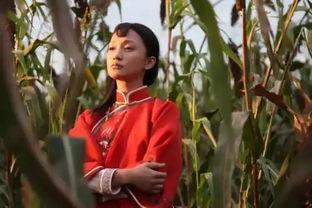 红高粱电影,烽火岁月里的爱情与抗争