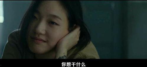 韩国最新电影,探索人性与命运的交织