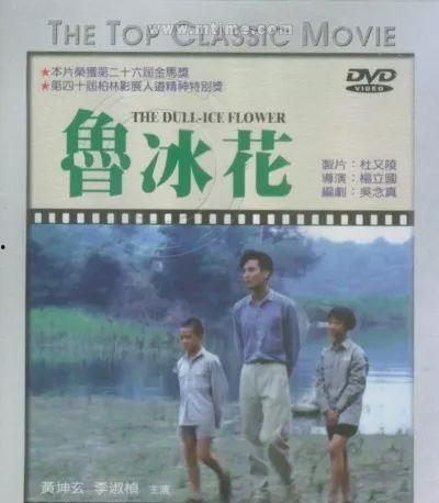 鲁冰花电影,岁月流转中的亲情与成长