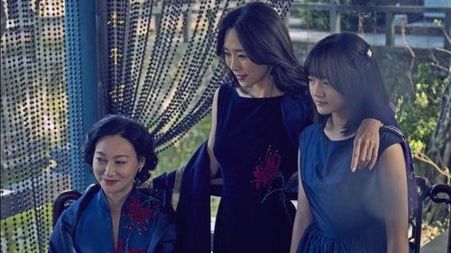 血观音电影,家族复仇与人性挣扎的悲歌