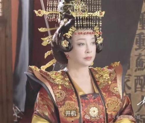武则天电影,传奇女皇的权谋与爱情