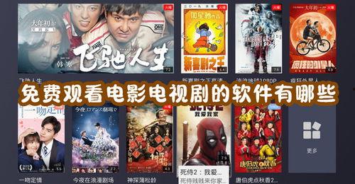 看免费电影,探索无限影视世界的秘密通道