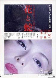 日本色情电影,揭秘日本色情电影背后的故事