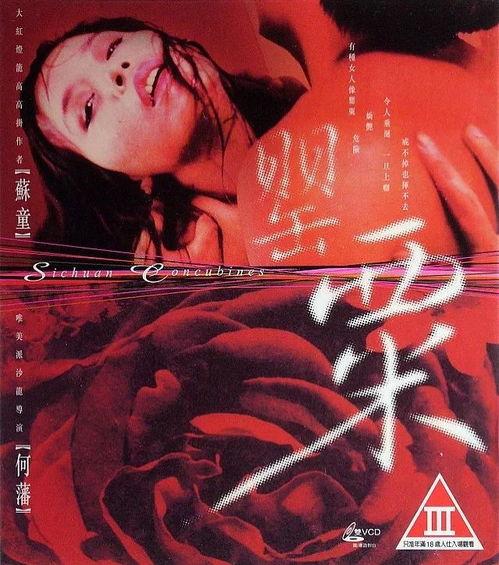 中国色情电影,揭秘中国色情电影背后的黑暗面