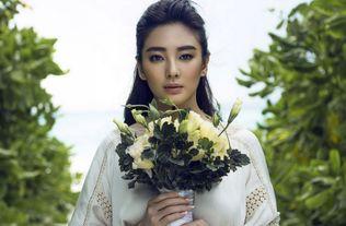 张雨绮电影,银幕魅力绽放，演绎多面人生