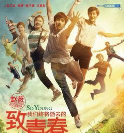致我们终将逝去的青春电影,致我们终将逝去的青春