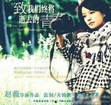 致我们终将逝去的青春电影,致我们终将逝去的青春