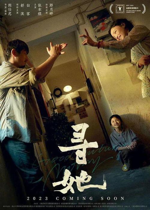 最新上映电影,穿越虫洞，探寻宇宙奥秘