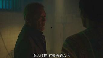 成年人电影,探索成年人的电影故事