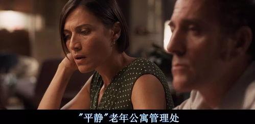 成年人电影,探索成年人的电影故事