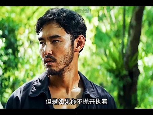 阮经天电影,光影交织的银幕传奇