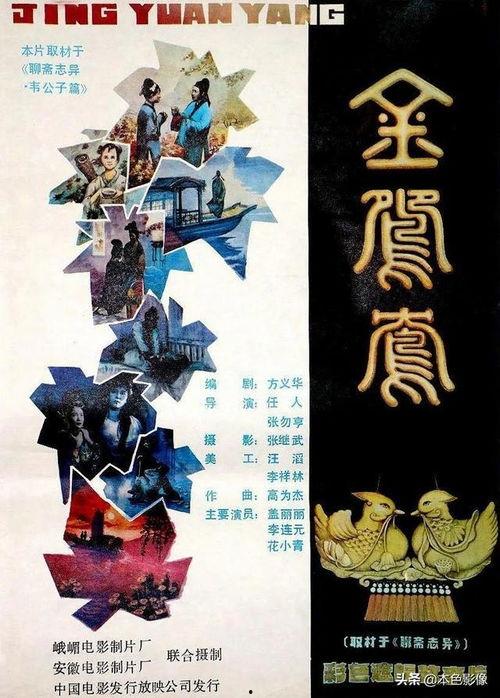 金鸳鸯 电影,传奇女侠的江湖传奇