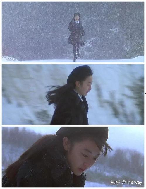 飘雪电影,漫天飞雪中的爱情传奇
