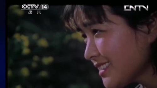 电影小花,烽火岁月中的青春传奇