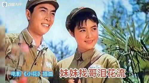 电影小花,烽火岁月中的青春传奇