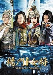杨家将电影,忠勇传家，铁血丹心
