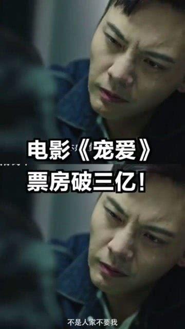 宠爱电影,温情治愈，宠物与主人间的感人故事