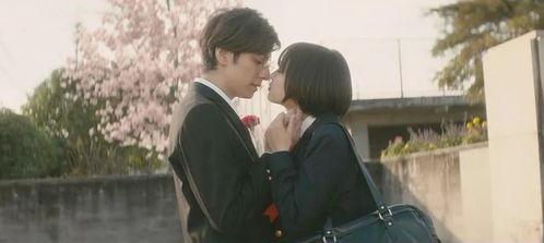 樱花电影,一场跨越时空的浪漫邂逅