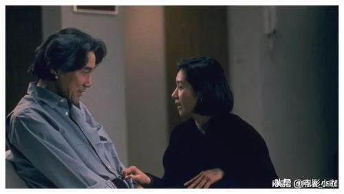 论理电影,探索逻辑与情感的交织之美