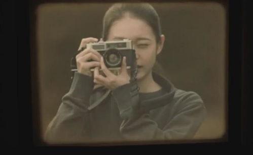 给电影人的情书,一封跨越光影的深情告白