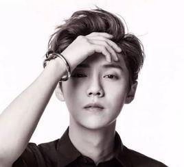 鹿晗电影,光影交错，演绎电影人生