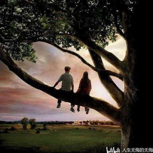 怦然心动电影,青春心跳的甜蜜旋律