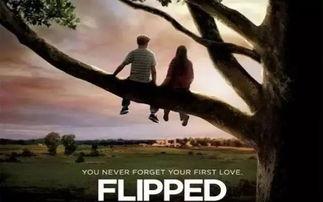 怦然心动电影,青春心跳的甜蜜旋律