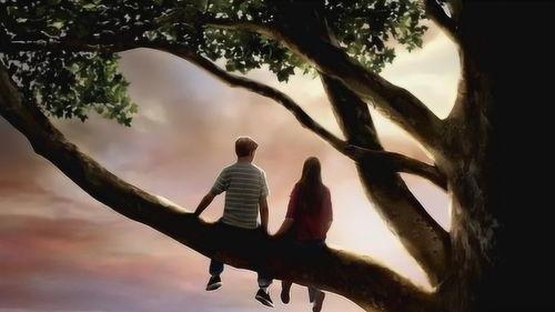 怦然心动电影,青春心跳的甜蜜旋律