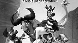 斑马电影,探寻非洲草原上的生命奇迹