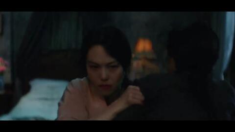 小姐电影,一场跨越身份与欲望的华丽冒险