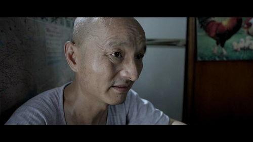 心锁电影,解锁情感迷宫的密钥