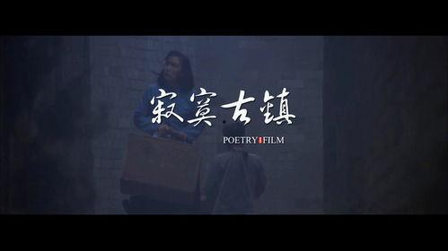 诗电影,诗电影的艺术魅力与情感共鸣