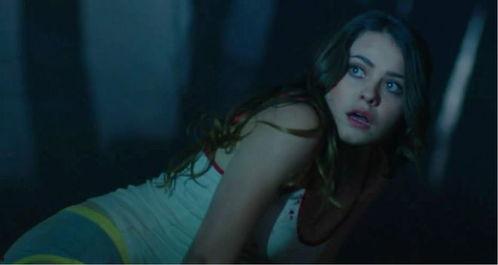 美国成人电影,美国成人娱乐的崛起与影响