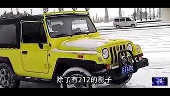 电影牧马人,草原上的青春传奇